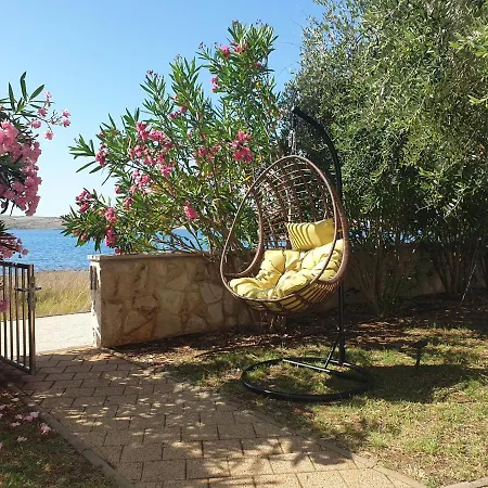 Summertime Apartment